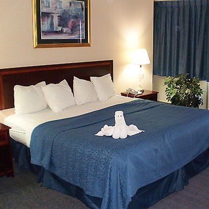 Lancaster Family Resort Smoketown  Chambre photo
